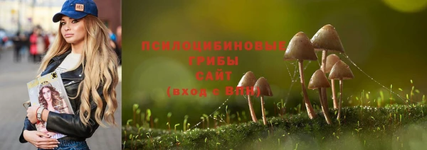 амф Алексеевка
