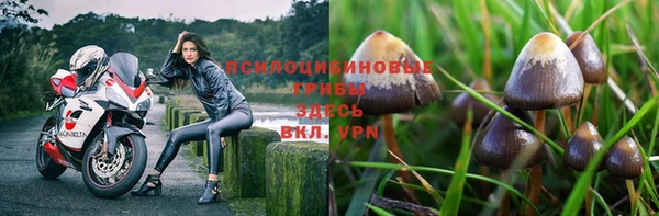 амф Алексеевка
