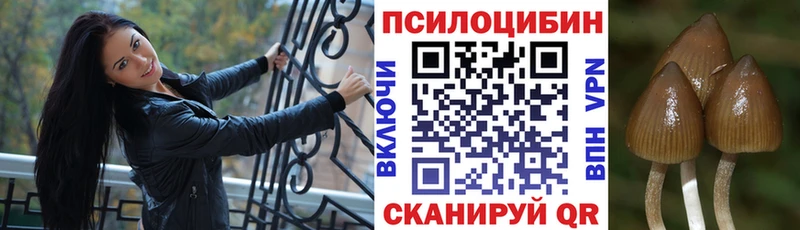 мега ссылка  Обнинск  Галлюциногенные грибы ЛСД  где можно купить наркотик 